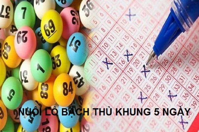 Có rất nhiều cách nuôi lô khung đang được áp dụng hiện nay